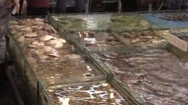 Sabahın erken saatlerinde taze deniz ürünleri ile dolu hareketli balık pazarını keşfetmek