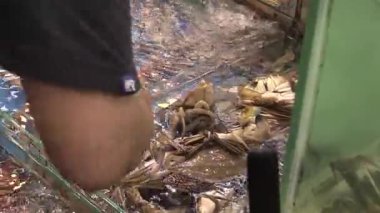 Okyanus kıyısındaki canlı bir pazarda taze deniz ürünleri ziyafeti, çeşitli avlar ve canlı etkileşimlerle dolu.