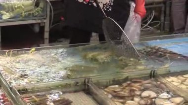 Şafak vakti hareketli şehirde canlı renkler ve canlı etkileşimler ile taze deniz ürünleri pazarı deneyimi