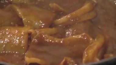 Taze et ve zengin sosla ev yapımı lezzetli bir güveç pişiriyorum.
