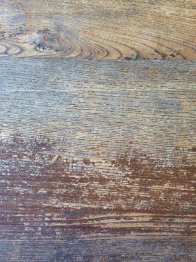 Bir çimenliğin yoğun dokusunu gösteren canlı bir yakın plan fotoğrafı. Sıradan otlar ve toprak örtüsü gibi eğreltiotu karışımı. Tam çerçeve, yukarıdan aşağı manzara bitkilerin küçük, karmaşık yapraklarını ön plana çıkarıyor, mükemmel doğal arka plan.