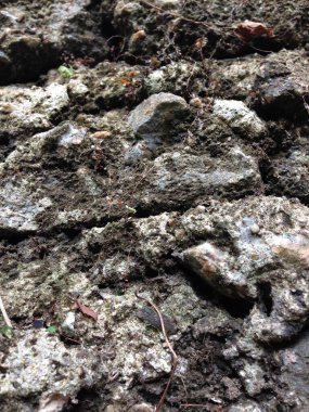 Engebeli kaya yüzeyinin yakın çekimi doğal çatlakları, yosunları ve toprak tonlarını gösteriyor.