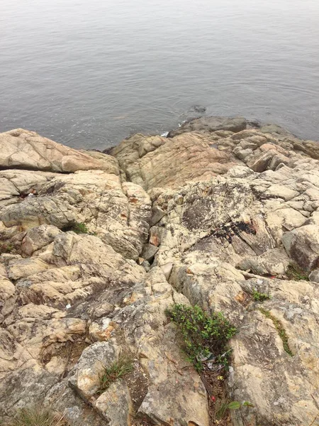 Sakin okyanus suyu ve dağınık bitki örtüsüyle engebeli kayalık kıyı şeridi