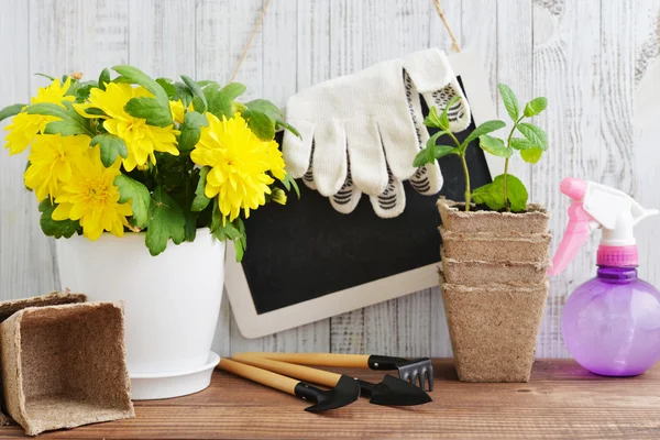 Primavera en el concepto de jardín —  Fotos de Stock