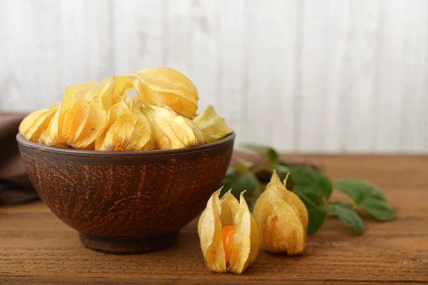 Frutos de Physalis — Fotografia de Stock