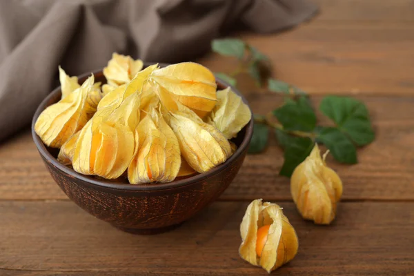 Frutos de Physalis — Fotografia de Stock