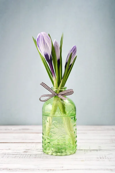 Šafrán v vázy — Stock fotografie