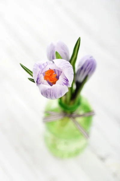 Crocus in vases — Stock Photo, Image