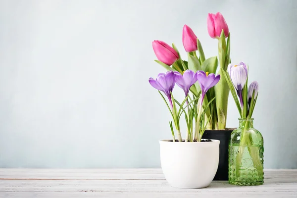 Tulpen und Krokusse — Stockfoto