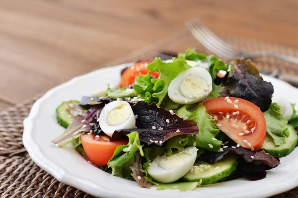 Ensalada de verduras —  Fotos de Stock