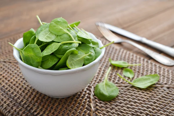 Fresh Young spinach — Stock Photo, Image