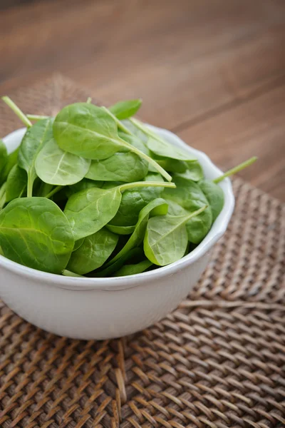 Fresh Young spinach — Stock Photo, Image