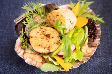 Mango, turp, s üzerinde avokado salata taze kurutulmuş deniz Fistolar