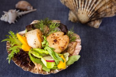 Mango, turp, s üzerinde avokado salata taze kurutulmuş deniz Fistolar