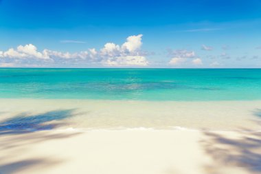 Seyşeller, Mahe Island, güneşli yaz, tropikal kumlu plaj