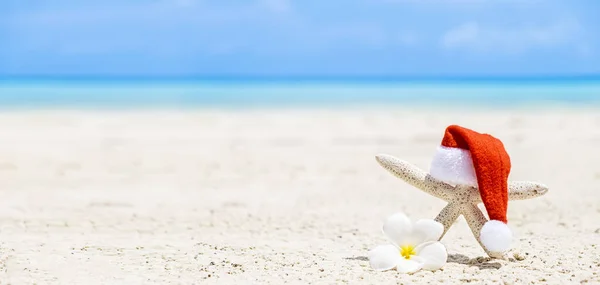 Fehér Tengeri Csillag Piros Mikulás Kalap Homokos Strandon Tenger Háttérben — Stock Fotó