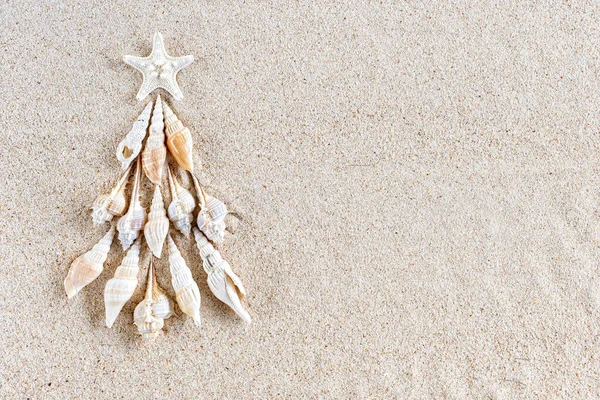 Conchiglie e stelle di pesce Albero di Natale su sabbia chiara, vista dall'alto con spazio copia — Foto Stock