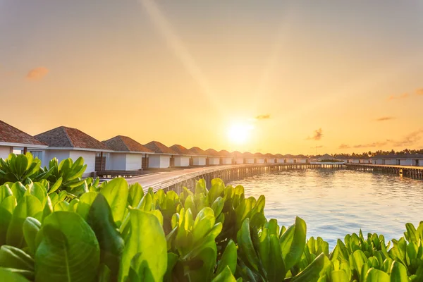 Hermoso Amanecer Tropical Sobre Villas Resort Lujo Paisaje Marino Maldivas — Foto de Stock