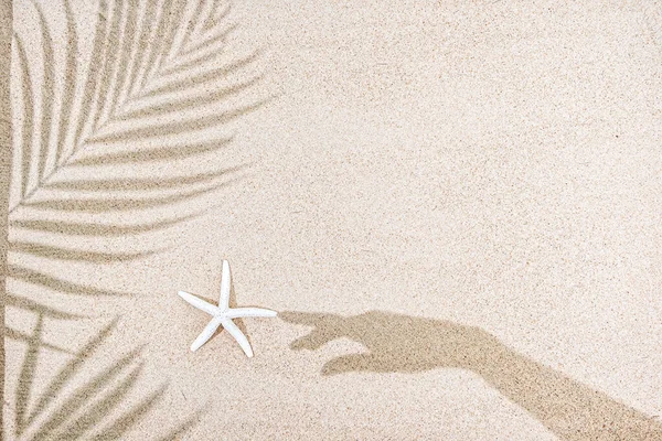 女性の手とヤシの木の葉の影 砂の上のヒトデ トップビュー コピースペース 夏のコンセプト — ストック写真