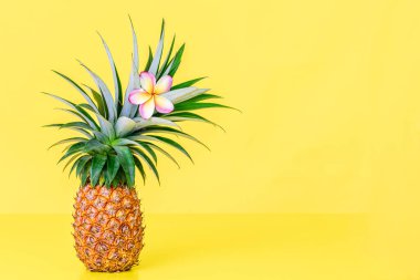 Sarı zemin üzerinde tek Frangipani çiçeği olan taze ananas, boşluğu kopyala 
