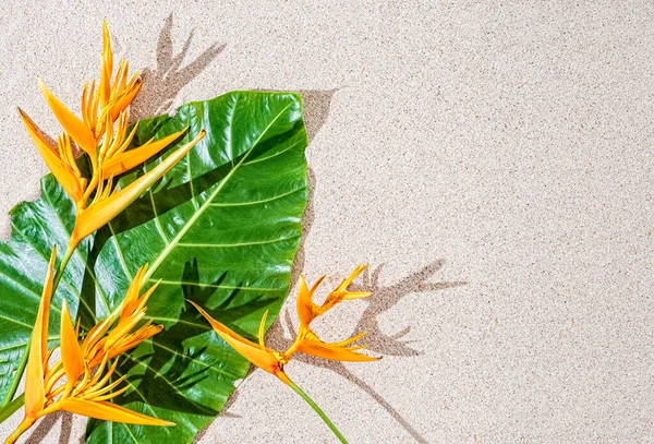 Exotische tropische orangefarbene Blume Paradiesvogel und großes grünes Blatt auf Sandhintergrund, Kopierraum, Draufsicht — Stockfoto