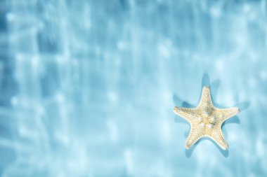 Mavi arkaplanda beyaz denizyıldızı, sualtı gölgeleri, üst görünüm, boşluğu kopyala