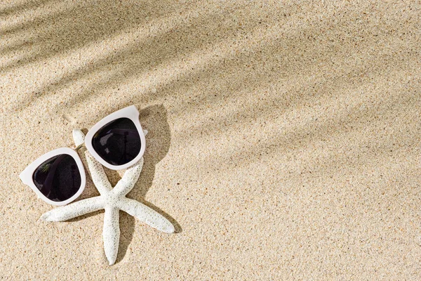 Gafas de sol de estrellas de mar y blancas con sombra de hoja de palma sobre fondo de arena natural, espacio para copiar — Foto de Stock