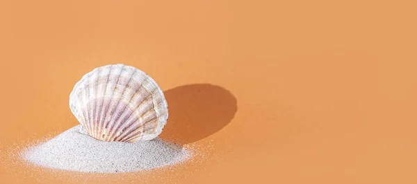 明るいオレンジ色の背景に影が付いている砂のヒップの単一の貝殻、コピースペース、バナー — ストック写真