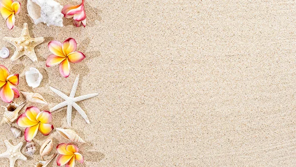 Frangipani tropicale Frigorifero, plumeria e conchiglie, stelle marine su fondo sabbia, vista dall'alto, copiare spazio — Foto Stock