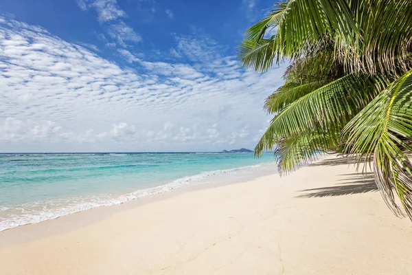 Dromerige zandstrand — Stockfoto