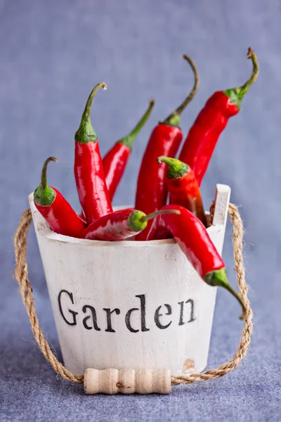 Horké červené chilli papričky v dřevěné mini backet s slovo zahrada na — Stock fotografie