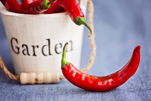 Wooden bucket with chili peppers and single one on the side — Stock Photo, Image