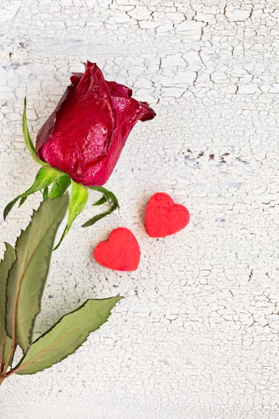Rosa rossa singola con due piccoli biscotti rossi a forma di cuore, su — Foto Stock