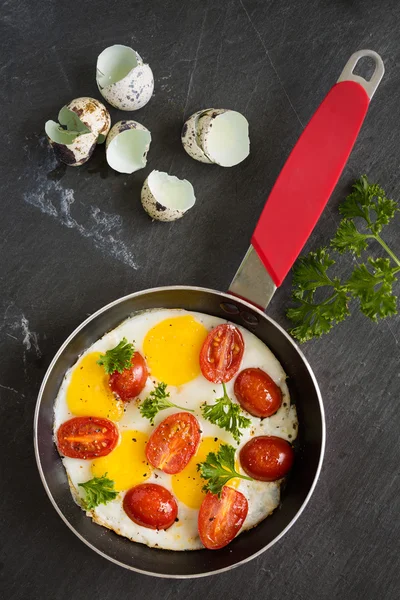 Soleado lado hasta huevos de codorniz freír con tomate y perejil, vista superior — Foto de Stock