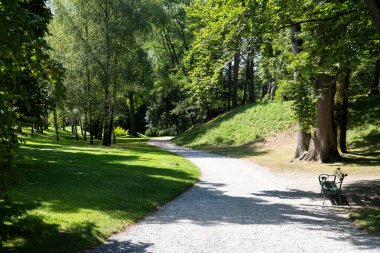 Etrafı yemyeşil ağaçlar ve ıssız bir bankla çevrili dolambaçlı bir çakıl yolu olan sakin bir park. Sıcak güneş ışığıyla yıkanmış huzurlu doğa sahnesi.
