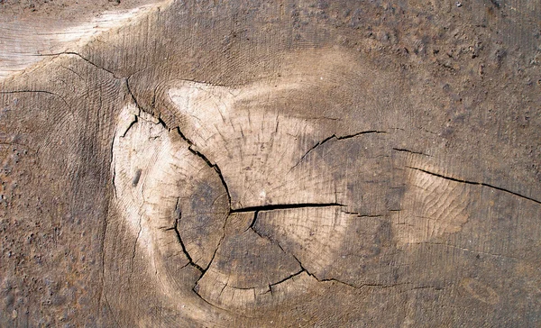Stara, uszlachetniona tektura drewniana — Zdjęcie stockowe