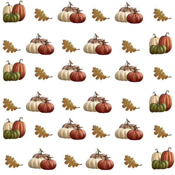 Autumn Seamless Pattern Harvest Illustrations — Stock Photo, Image