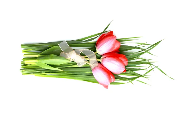 Rode tulip boeket — Stockfoto