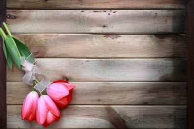 Lale ahşap üzerinde