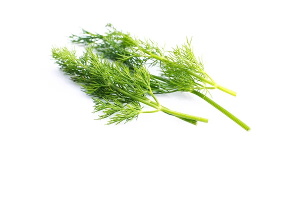 Bunch fresh dill — Stock Photo, Image