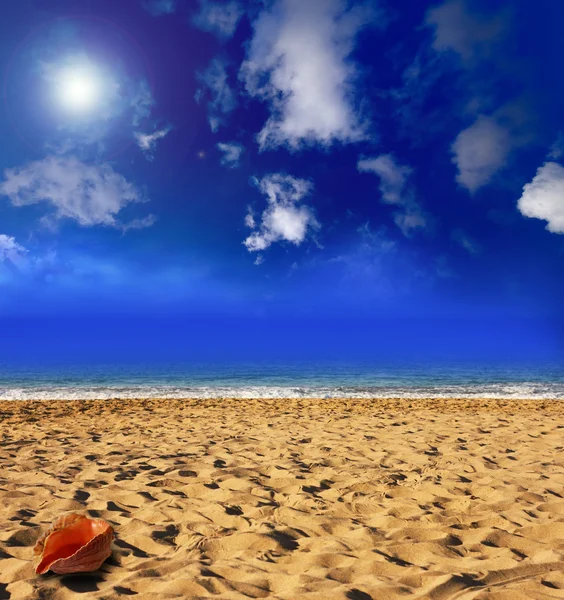 Playa dorada y un cielo maravilloso —  Fotos de Stock