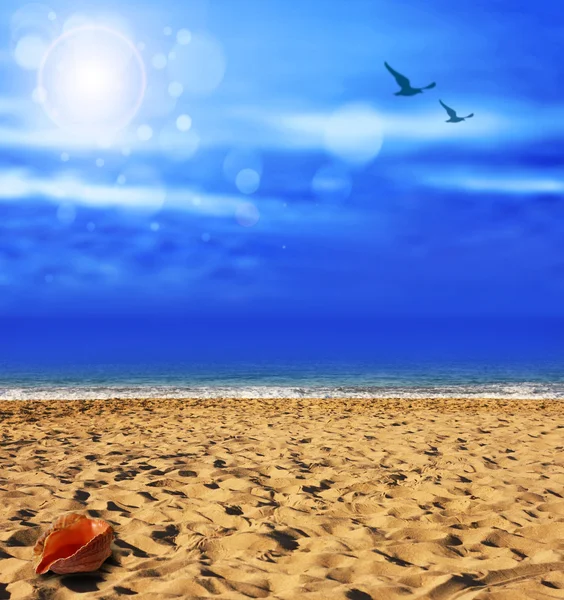 Golden beach and a wonderful sky — Stock Photo, Image