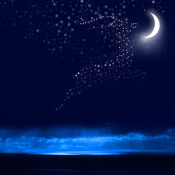 Night Sky, Reindeer, Bright Stars, Galaxy, and Moon