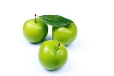 fresh green plums clipart