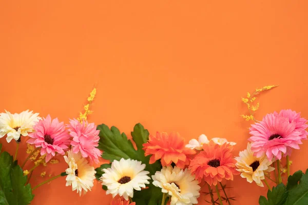 Turuncu arka planda çiçekler. Boşluğu, düzlüğü, üst görünümü kopyala. Turuncu arkaplan üzerinde Gerbera çiçekleri bulunan pankart metin için yer alıyor.