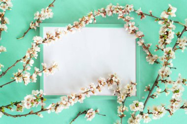 Beyaz çiçekler, naneli çerçeve ve pastel arkaplanda yazı için boş bir yer. Sevgililer Günü, Anneler Günü, doğum günü veya diğer kutlamalar için en üstteki boş yer, güzel tebrik kartı.