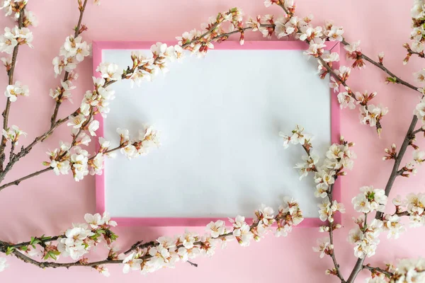 Beyaz çiçekler, boş bir çerçeveyle pastel pembe arka planda mesaj. Sevgililer Günü, Anneler Günü, doğum günü veya diğer kutlamalar için en üstteki boş yer, güzel tebrik kartı.