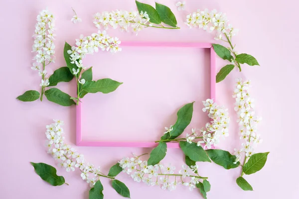 Beyaz çiçekler, pembe arka planda mesaj için boş pembe çerçeve. Sevgililer Günü, Anneler Günü, doğum günü veya diğer kutlamalar için en üstteki boş yer, güzel tebrik kartı.
