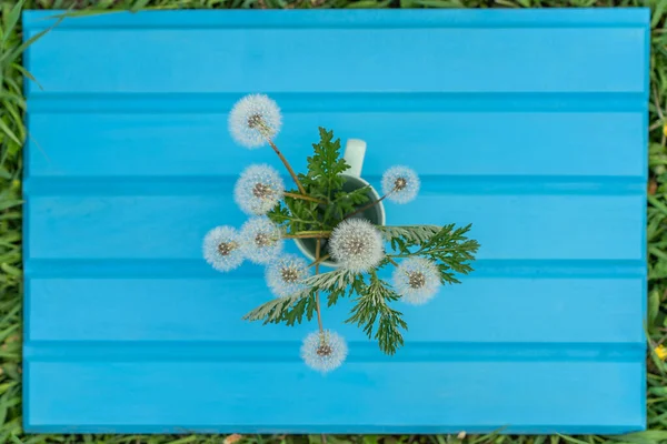 Mavi ahşap arka planda güzel beyaz karahindibalar. Fotokopi alanı olan bir pankart. Tebrikler ya da davetiyeler, metin için yer