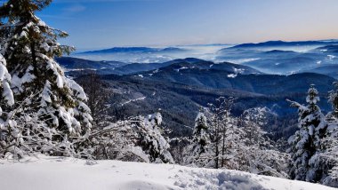 Buzlu ağaçlarla donuk dağ manzarası